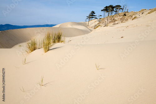 Fotografija OR, Oregon Coast, Oregon Dunes National Recreation Area, Sand Dunes