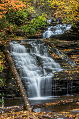 USA  Pennsylvania  Ricketts Glen State Park. Mohican Falls with fallen logs and autumn leaves