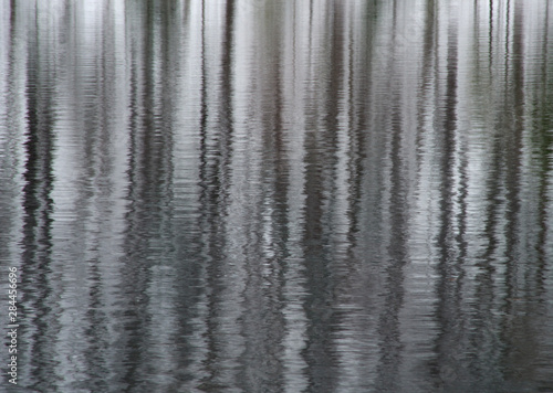 USA, New York State. Abstract reflection of winter trees.