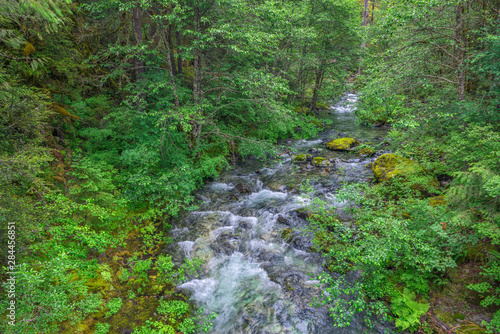 USA  Oregon  Willamette National Forest  Opal Creek Scenic Recreation Area  Battle Ax Creek with surrounding lush forest.