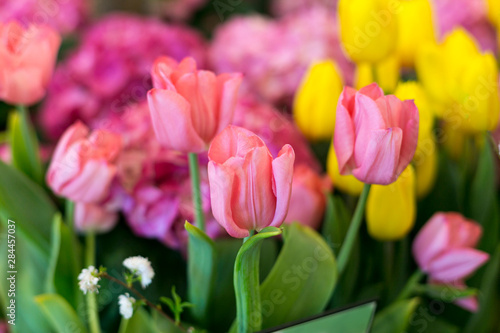 New York City  NY  USA. Floral displays for spring.