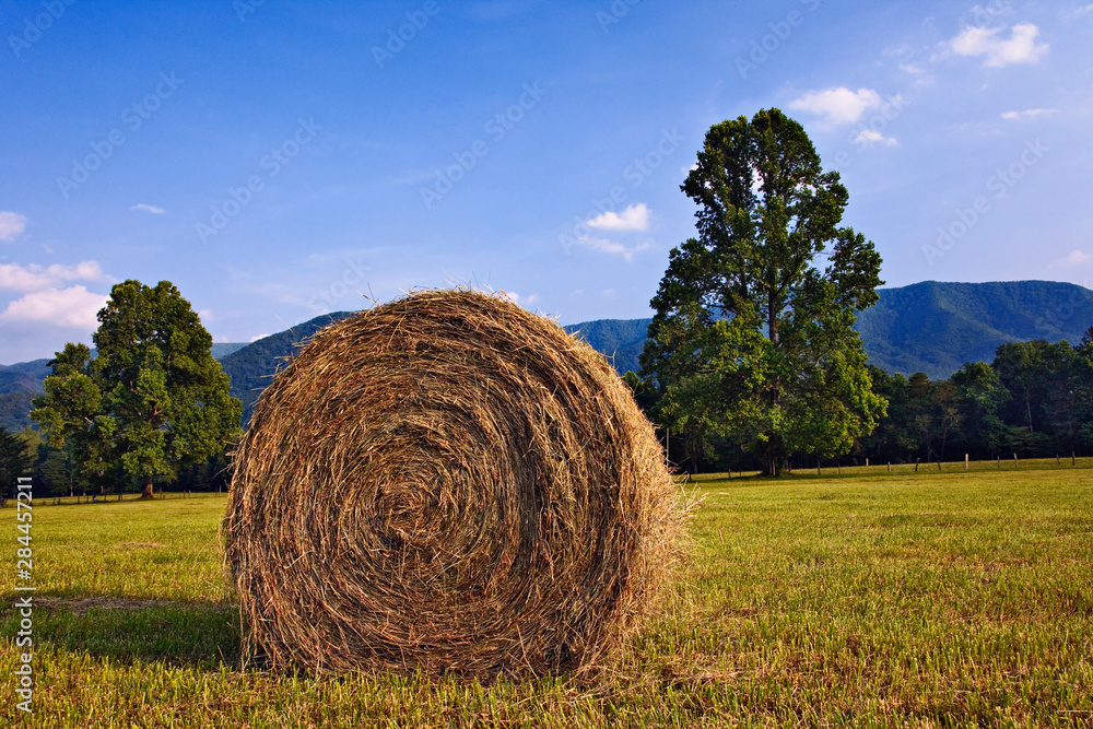 Rolled hay bale, Cades Cove, Great Smoky Mountains National Park, Tennessee Rolled hay bale, Cades Cove, Great Smoky Mountains National Park, Tennessee