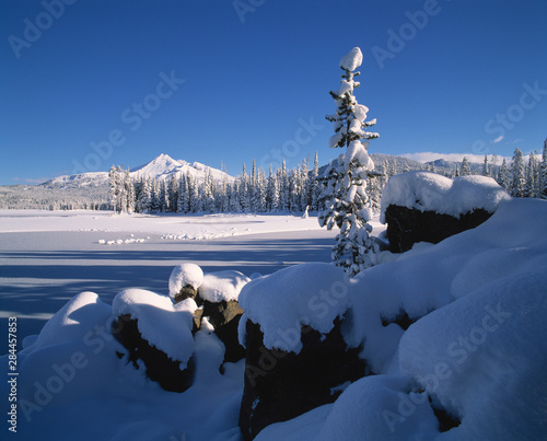 USA, Oregon, Broken Top. Heavy snow covers trees and rocks in the foreground of Broken Top, Cascades Range, Oregon.