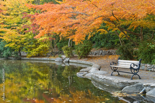 USA, Oregon, Ashland, Lithia Park. Walkway bench next to pond with autumn reflections.  photo