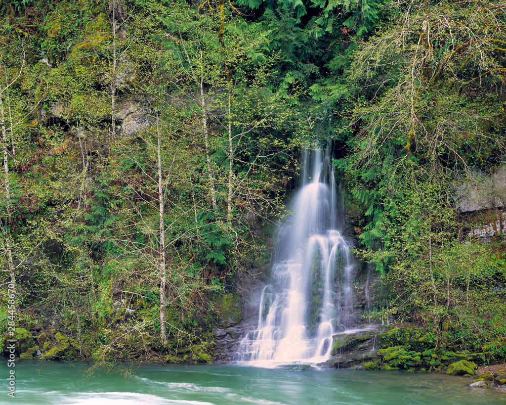 USA, Oregon, North Umpqua River. Spring runoff fills small waterfalls along the North Umpqua River in the Cascades Rane of Oregon. USA, Oregon, North Umpqua River. Spring runoff fills small waterfalls along the North Umpqua River in the Cascades Rane of Oregon.