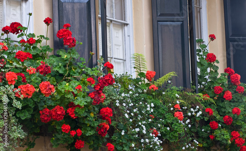 USA, South Carolina, Charleston. Blooming geraniums in flower boxes outside home. Credit as: Nancy Rotenberg / Jaynes Gallery / DanitaDelimont.com © Jaynes Gallery/Danita Delimont