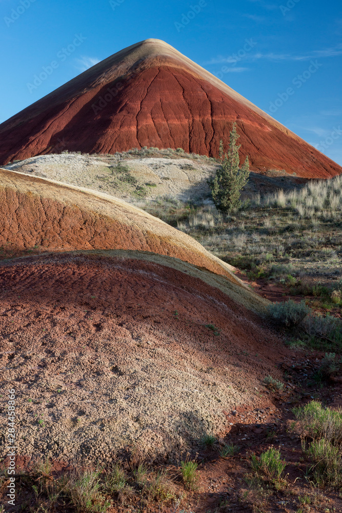 USA, Oregon, John Day Fossil Beds National Monument. The undulating painted hills
