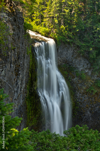 Salt Creek Falls  Willamette National Forest  Oregon  USA