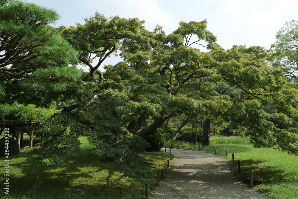 都会の日本庭園、東京 都会の日本庭園、東京