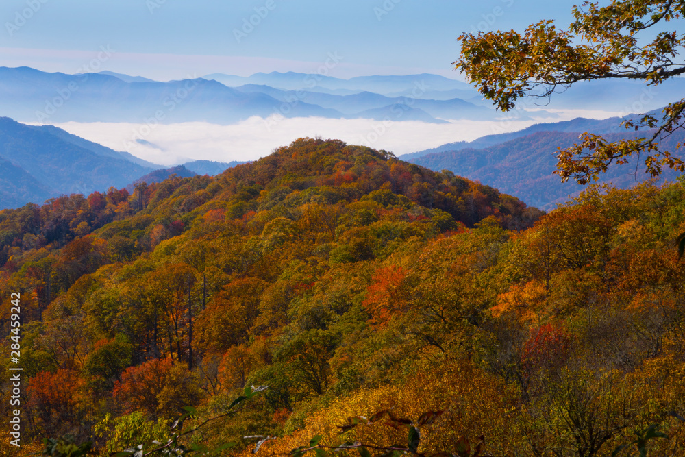 Autumn in the Great Smoky Mountain National Park, Tennessee Autumn in the Great Smoky Mountain National Park, Tennessee