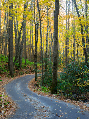 Tennessee, Great Smoky Mountains National Park, Roaring Fork Motor Nature Trail © Jamie & Judy Wild/Danita Delimont