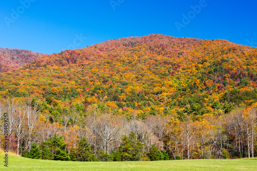 Fototapeta Naklejka Na Ścianę i Meble -  Tennessee, Great Smoky Mountains National Park, Cades Cove