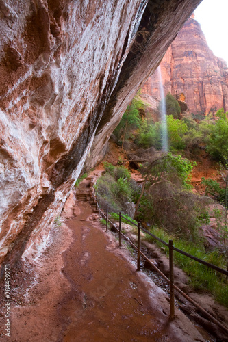 Utah, Zion National Park, trail and waterfall, at Lower Emerald Pool