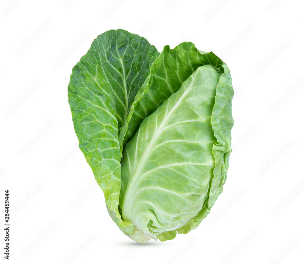 fresh green pointed cabbage isolated on white background fresh green pointed cabbage isolated on white background