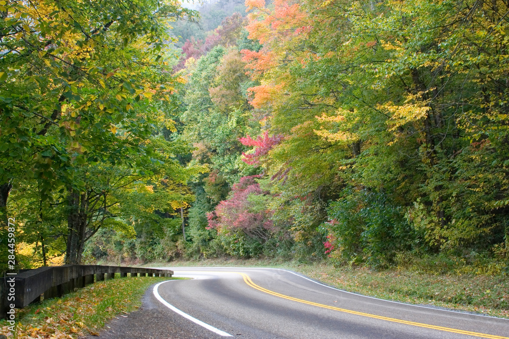 USA - Tennessee. Fall foliage on Newfound Gap Road in Great Smoky Mountains National Park. USA - Tennessee. Fall foliage on Newfound Gap Road in Great Smoky Mountains National Park.