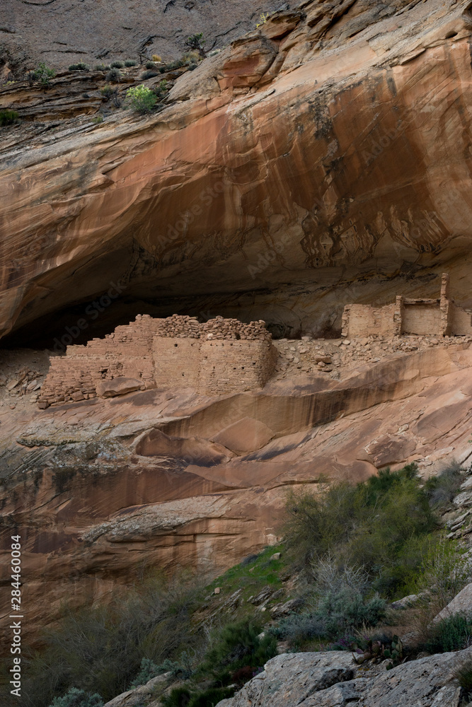 USA, Utah. Monarch Cave Ruins, Bears Ears National Monument