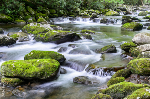 USA, Tennessee, Smokies, stream
