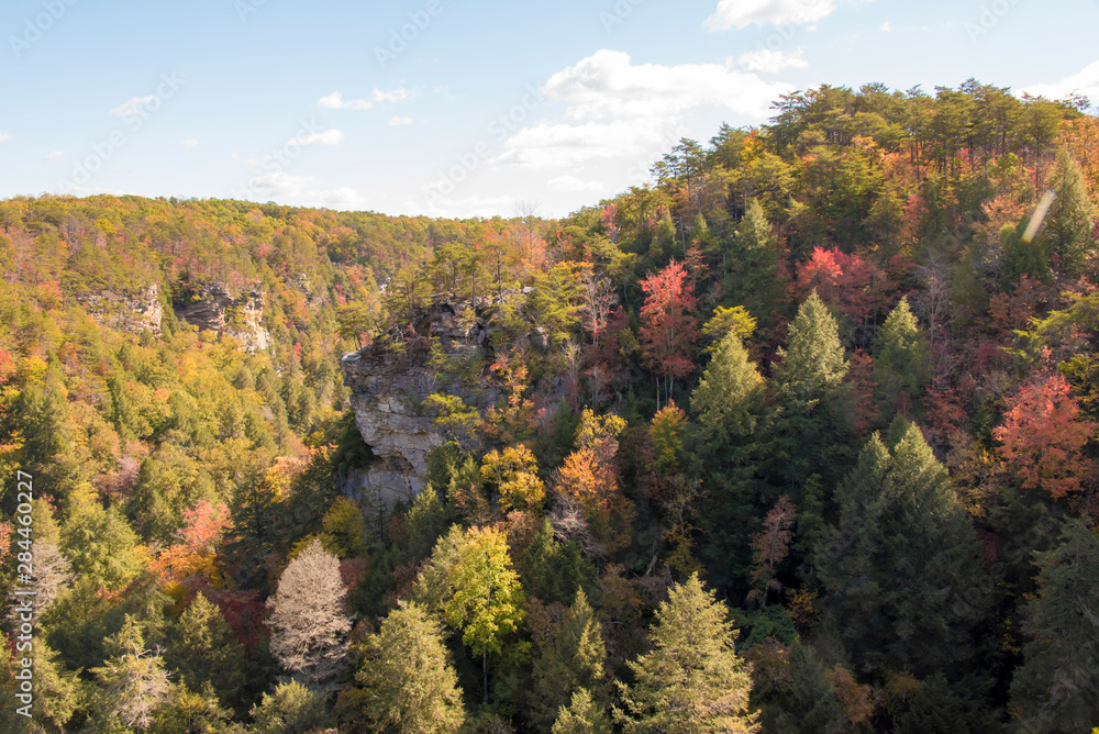 USA, Tennessee. Fall Creek Falls State Park fall color