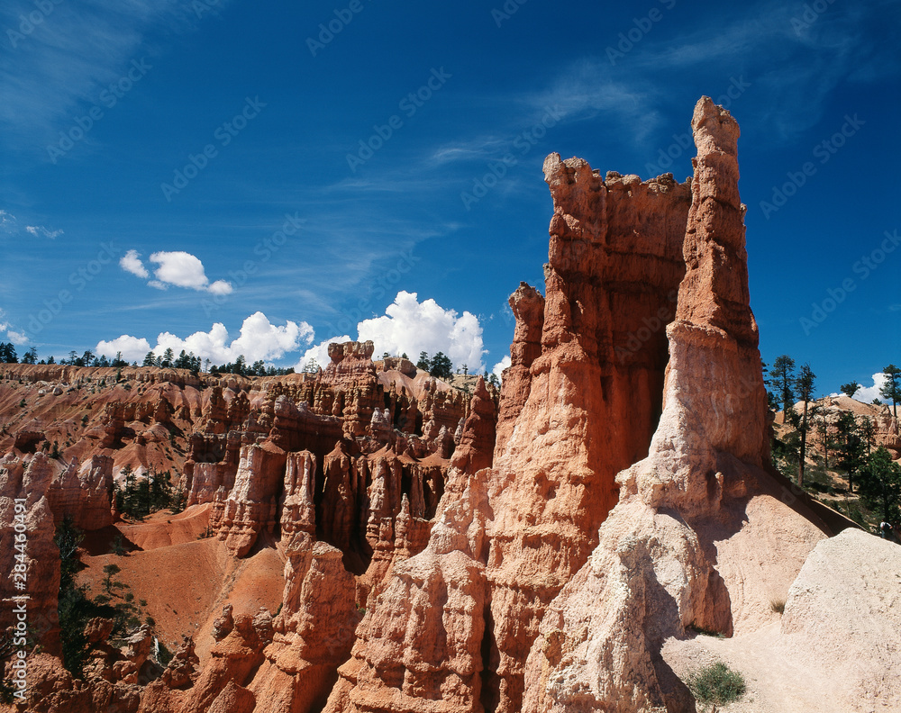 Fototapeta premium USA, Utah, View of Navajo Loop Trail at Bryce Canyon National Park