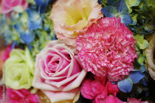 Close up beautiful Pink  rose flower bouquet