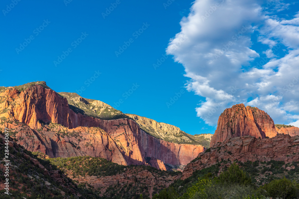 Fototapeta premium Kolob Canyon in Zion National Park, Utah, USA