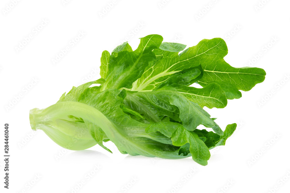 fresh green cos lettuce isolated on white background fresh green cos lettuce isolated on white background