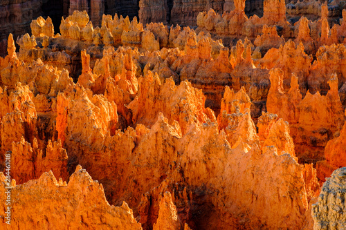 USA, Utah, Bryce Canyon National Park, detail, colorful