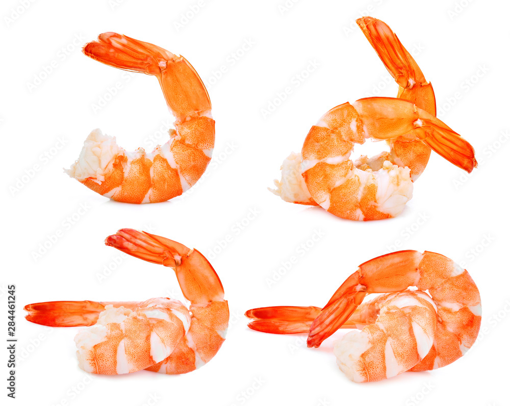 shrimp isolated on white background shrimp isolated on white background