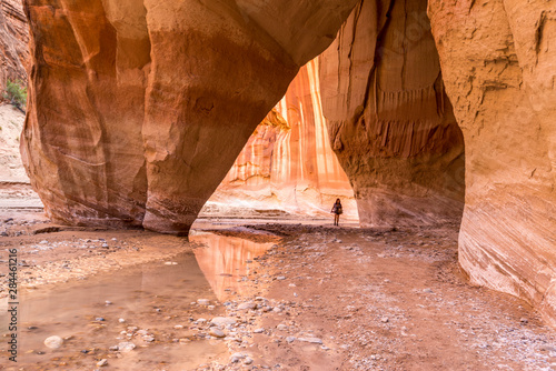 Wallpaper Mural Hiking at Slide Arch in Paria Canyon, Vermillion Cliffs Wilderness, Southern Utah Torontodigital.ca