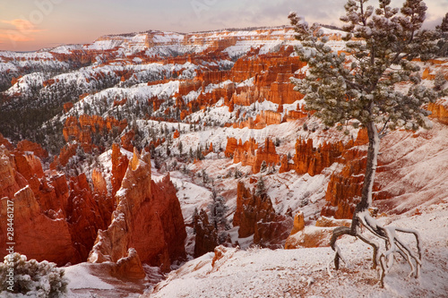 USA, Utah, Bryce Canyon National Park. View of Bryce Canyon in winter. 