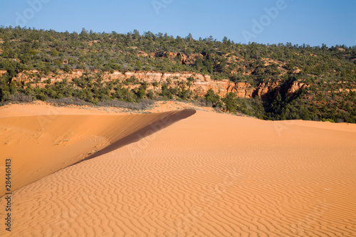 UT, Coral Pink Sand Dunes State Park, dunes created from eroding Navajo sandsone, wind formed ripple pattern
