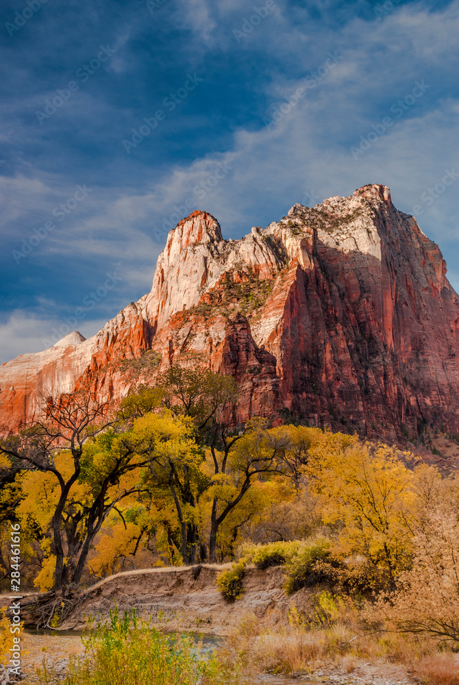 Usa, Utah, Zion National Park. Autumn foliage in front of the Sentinel.