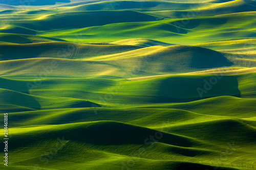 USA, Washington State, Palouse Hills. Farmland viewed from Steptoe Butte. Credit as: Don Paulson / Jaynes Gallery / DanitaDelimont.com photo