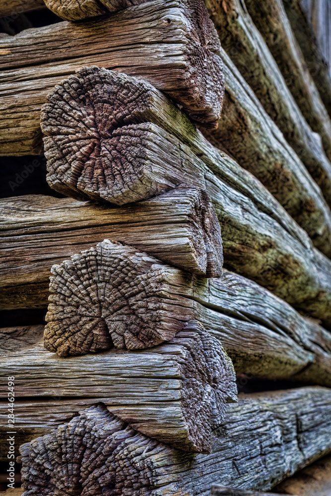 USA, Virginia, Roanoke, Explore Park. Detail of log cabin. Credit as: Don Paulson / Jaynes Gallery / DanitaDelimont.com USA, Virginia, Roanoke, Explore Park. Detail of log cabin. Credit as: Don Paulson / Jaynes Gallery / DanitaDelimont.com
