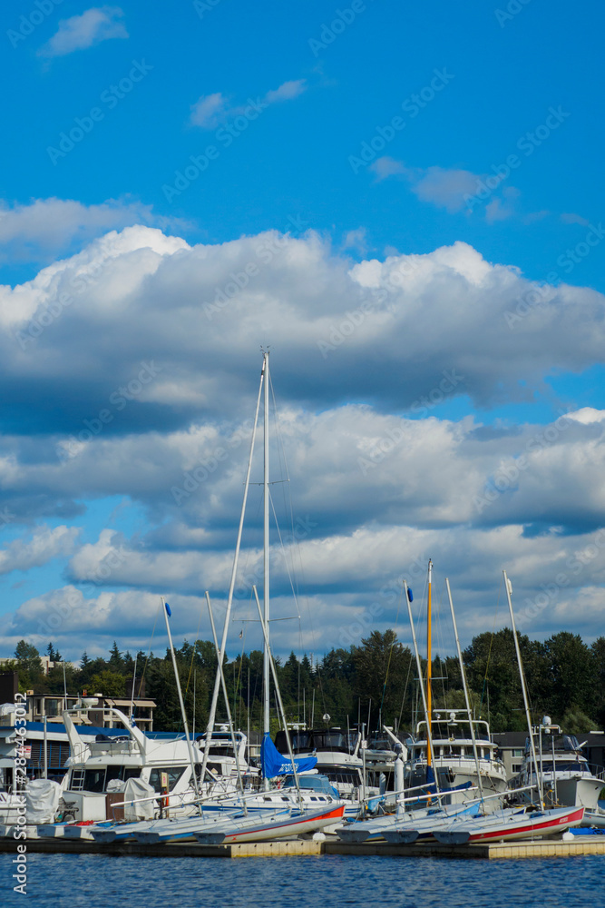 USA, Washington State, Bellevue. Marina and sailboats on Lake Washington.