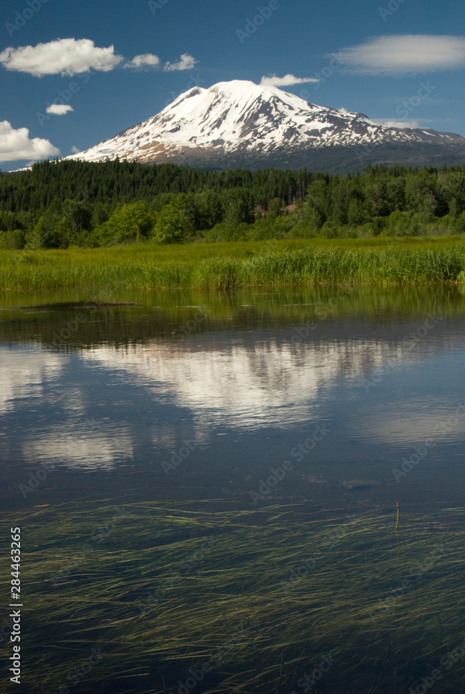 US: Washington, Columbia River Basin, Trout Lake and Mount Adams US: Washington, Columbia River Basin, Trout Lake and Mount Adams