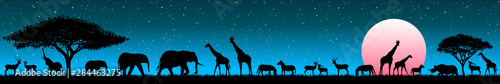 Animals in the wild savannah at sunrise. Silhouettes of wild animals of the African savannah. Set of different wild animals of Africa. African animals against the starry sky and the rising sun