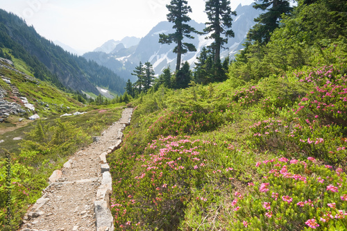 USA, Washington, North Cascades National Park, Cascade Pass. Hiking trail amid mountain wilderness. 