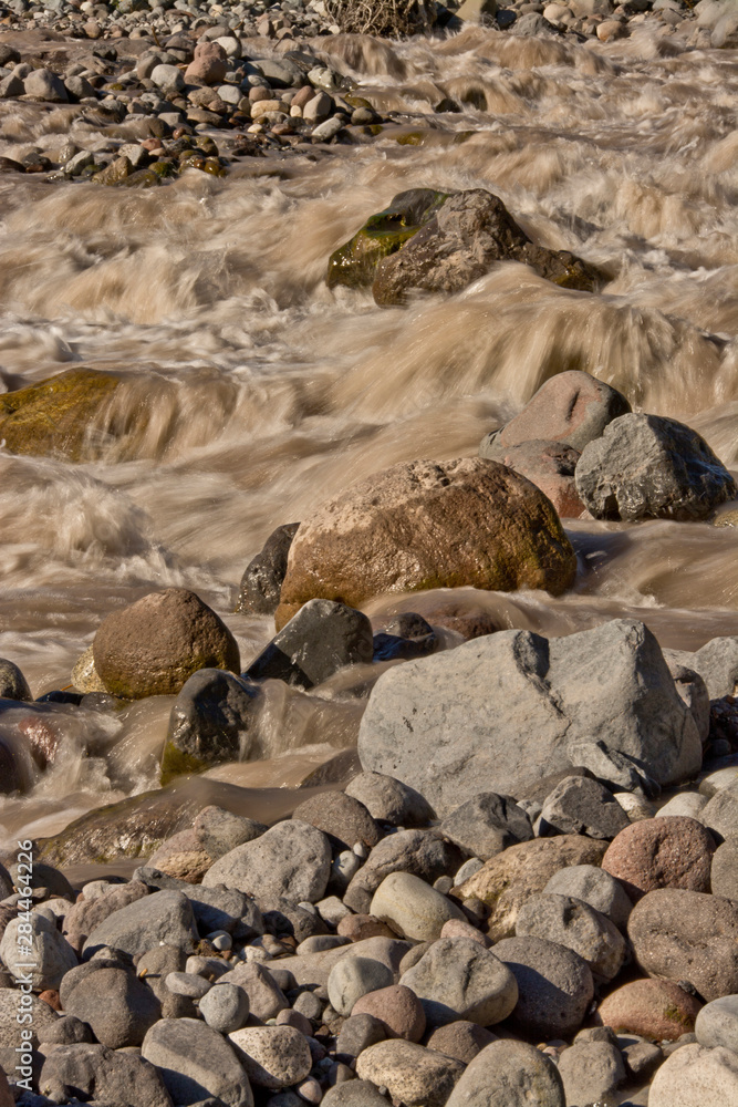 Close up, Paradise River, Mount Rainier National Park, Washington, USA