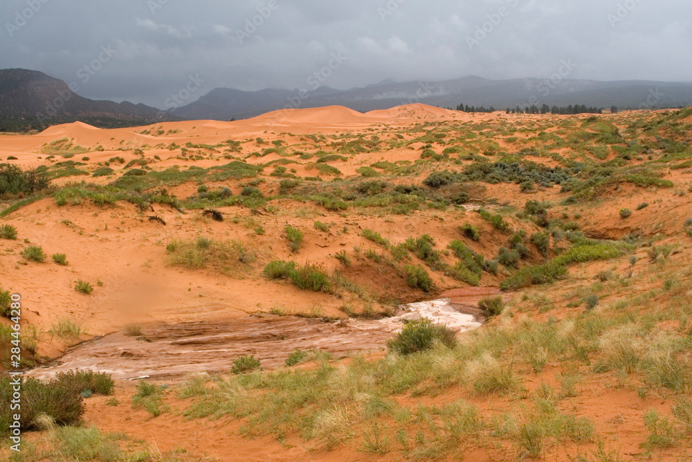 North America - USA - Utah - Storm at Coral Pink Sand Dunes State Park with flash flooding.