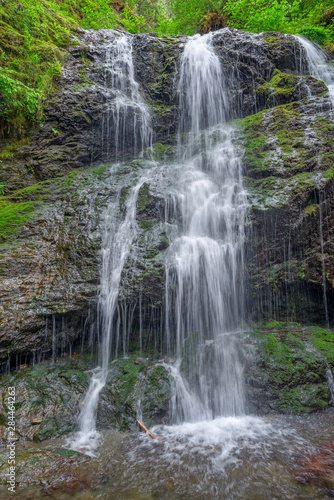 Fototapeta Naklejka Na Ścianę i Meble -  USA, Washington State, San Juan Islands, Orcas Island, Moran State Park, Cascade Falls in spring.