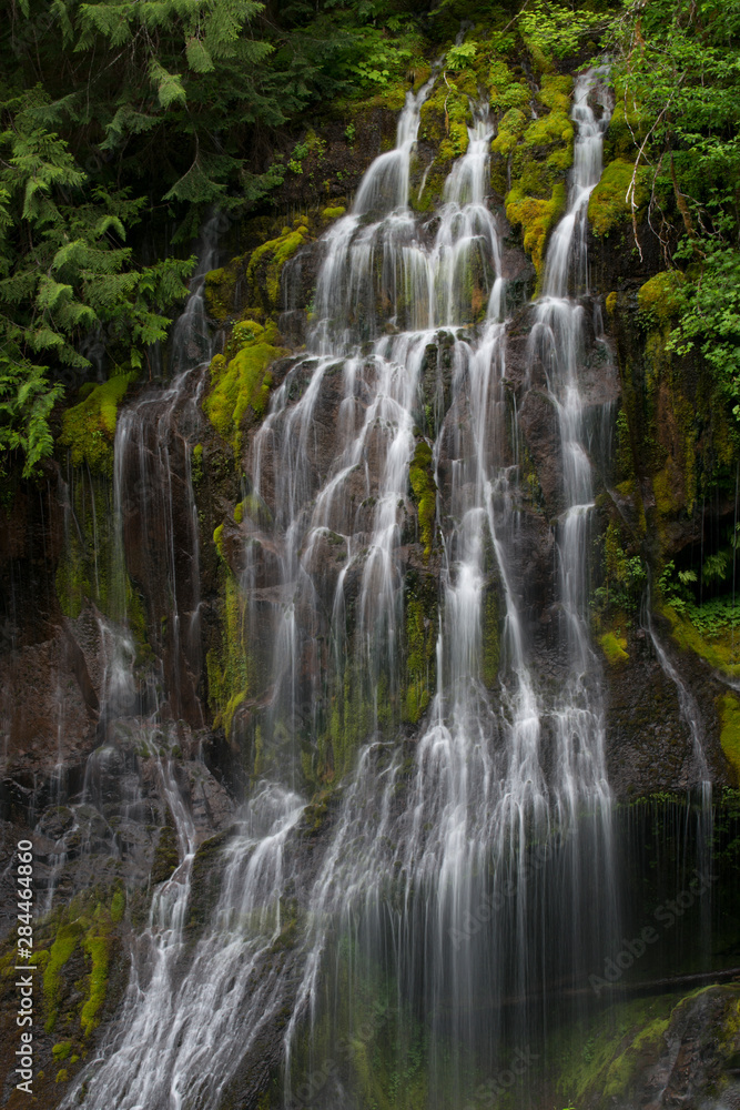 Fototapeta premium USA, Washington State. Detail of Panther Creek Falls, near Columbia River Gorge, Gifford Pinchot National Forest