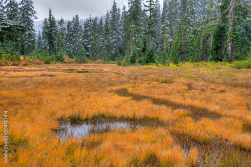 WA, Henry M. Jackson Wilderness, Alpine Tarn and Meadow photo