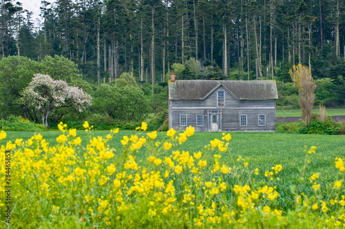 USA, WA, Whidbey Island, Ebey's Landing National Historical Reserve. Ferry House on prairie with spring flowers. Historically was used as a post office, ferry terminal, lodging, store. photo