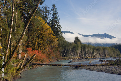 Olympic National Park, Hoh River Valley photo