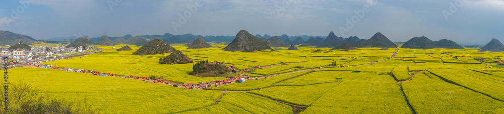 Obraz premium Panoramic view of The Yellow Flowers of Rapeseed fields with blue sky at Luoping, small county in eastern Yunnan, China