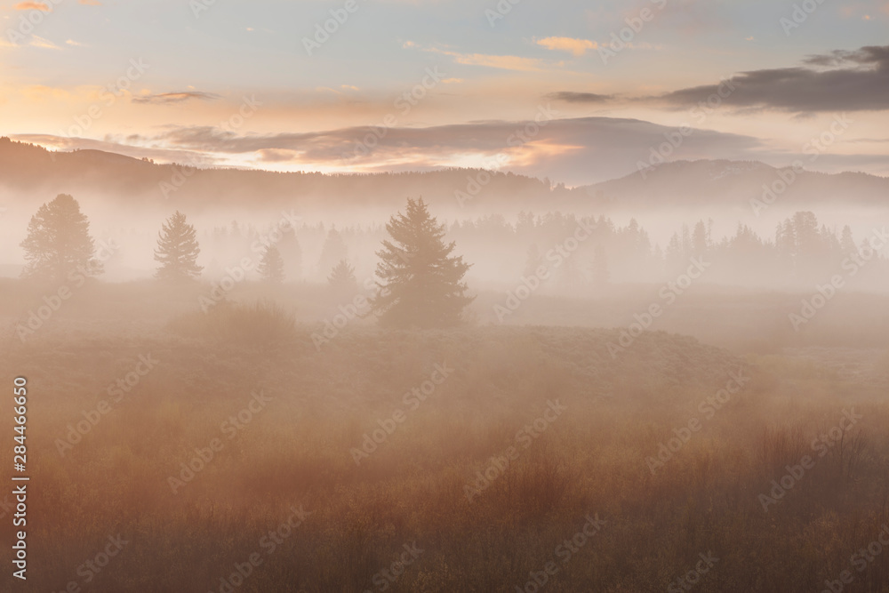 USA, Wyoming, Grand Teton National Park. Foggy landscape at sunrise. USA, Wyoming, Grand Teton National Park. Foggy landscape at sunrise.
