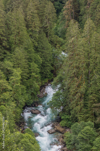 USA, Washington State, Mount Baker Snoqualmie National Forest. Cascade River flows through forest. Credit as: Don Paulson / Jaynes Gallery / DanitaDelimont.com