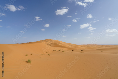 Sahara desert in marocco