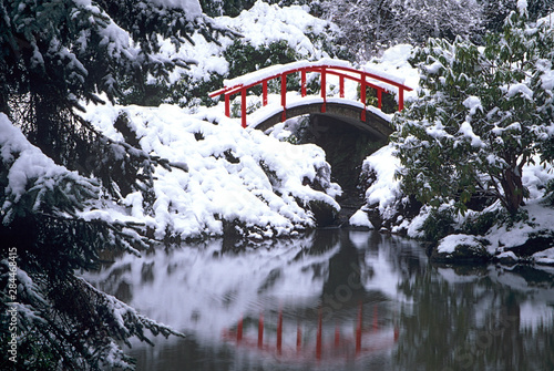 WA, Seattle, Moon bridge and pond after winter snow storm; Kubota Garden photo
